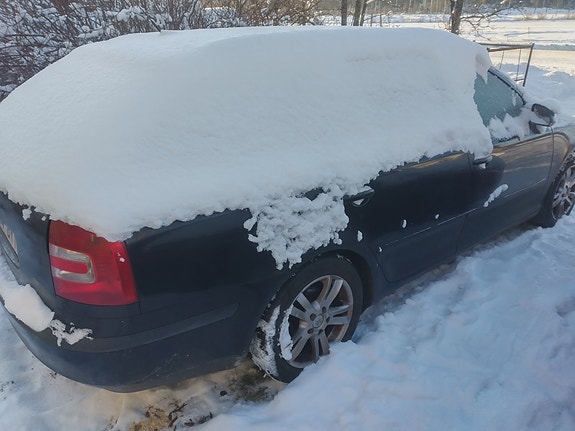 Osina Skoda Octavia
