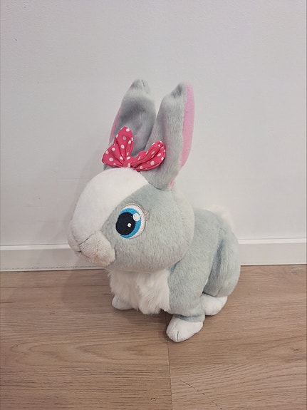 Betsy pupu