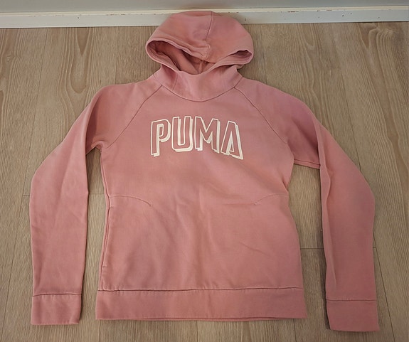 Puma huppari