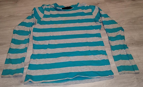 Pitkähihainen