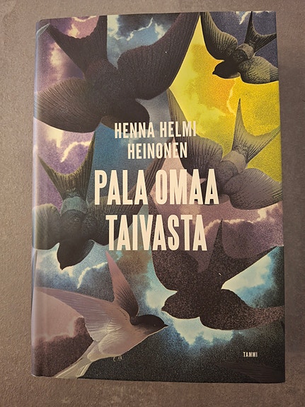 Kirja: Pala omaa taivasta