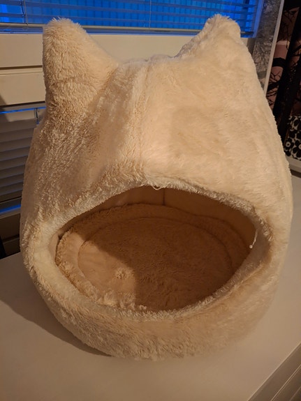 Kissan pesä