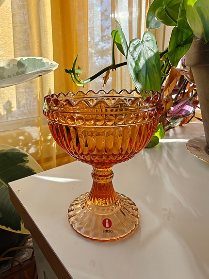 Iittala Mariskooli pomeranssi 120mm