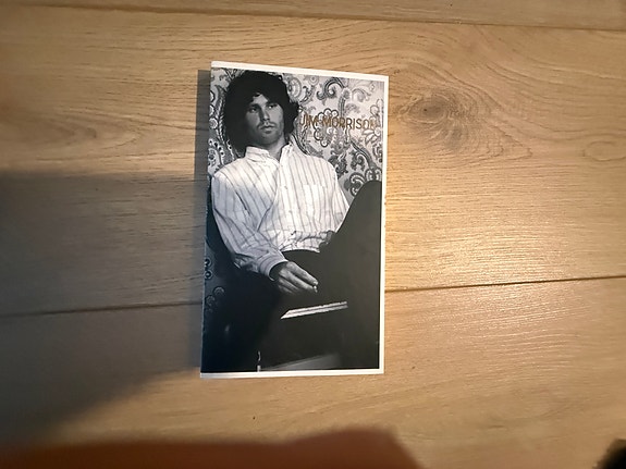 Jim Morrison - Jumalat ja uudet olennot
