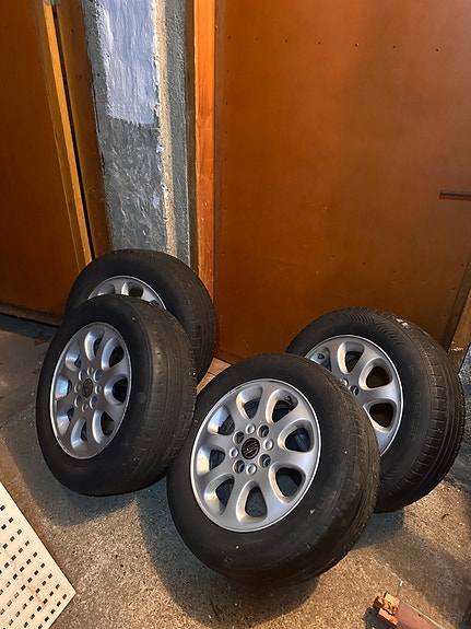 Volvo s40 vanteet kesärenkailla.