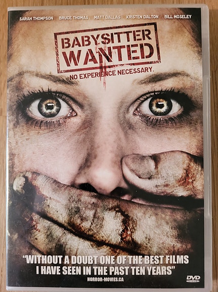 Babysitter wanted Dvd