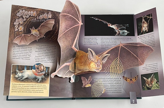 Product image 4 of 9