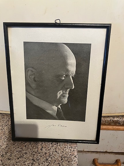 Jean Sibelius taulu