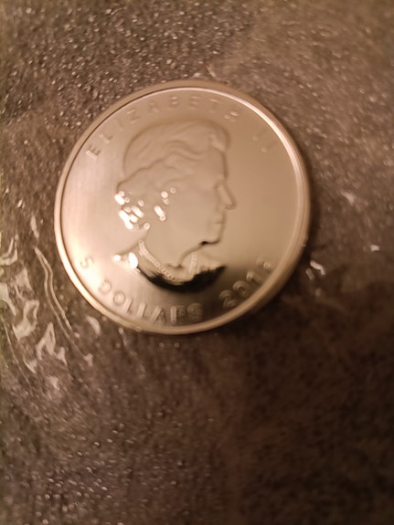 1 Oz hopea