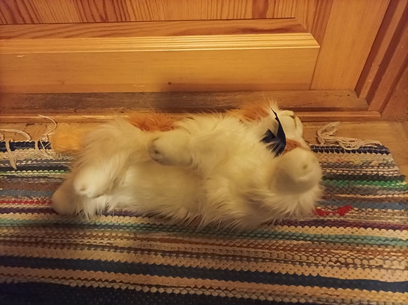 Product image 3 of 8