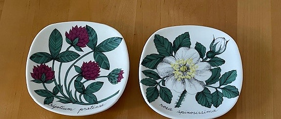 Arabia Botanica seinälautaset