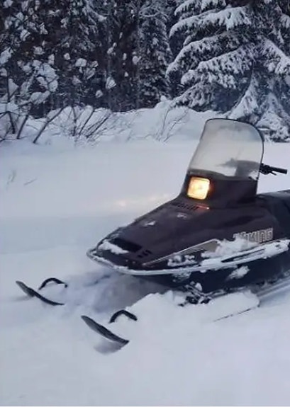 Yamaha Viking osaa