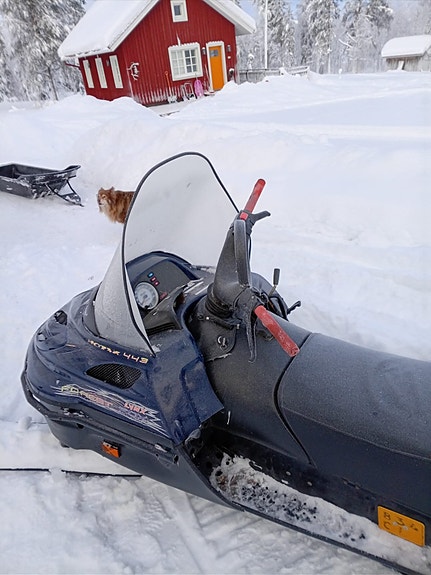 Tosi hyvä Lynx Forest Fox vm-04