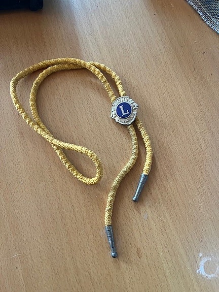 Lions Club Bolo solmio