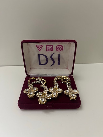 DSI rintakorut