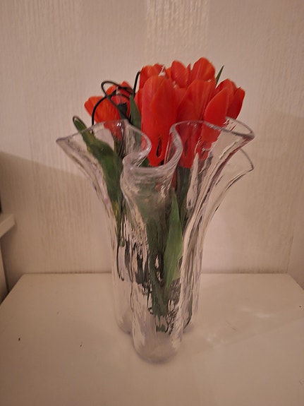 Maljakko tulppaani valojen kera