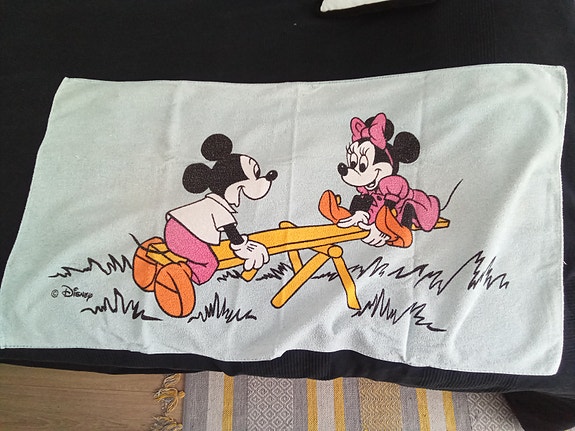 Mikki ja Minni-pyhje