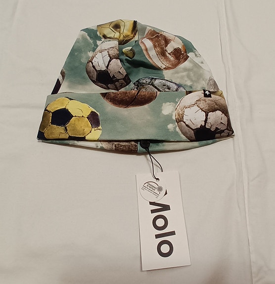 Molo uusi pipo
