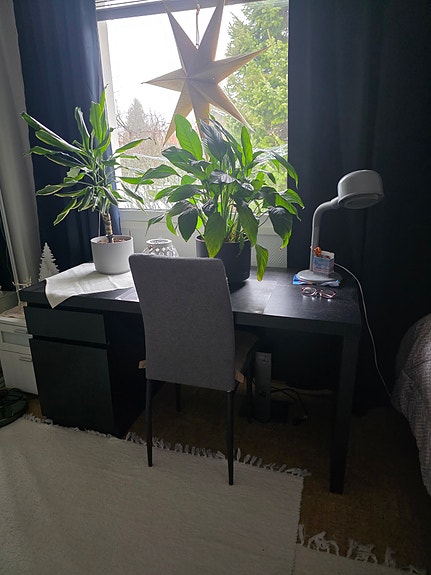 Ikea malm kirjoituspöytä