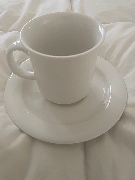 Arabia Arctica muki 2,8dl + tassi