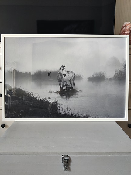 Harmaa Hevonen Ja Lampi Taulu 60x90cm