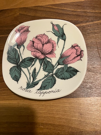 Esteri Tomula Rosa Lapponia -seinälautanen