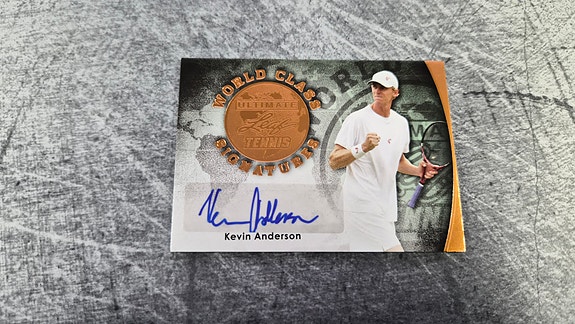 Kevin Anderson Leaf World Class Auto
