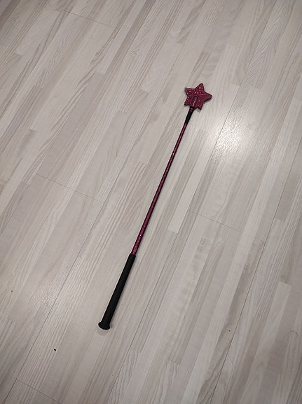 Lila tähtiraippa