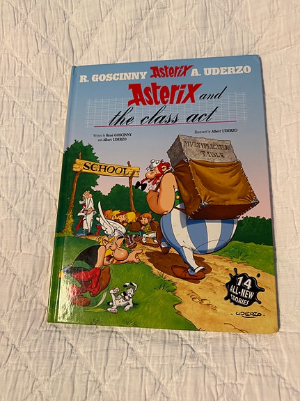 Asterix 32: Asterix and the Class Act