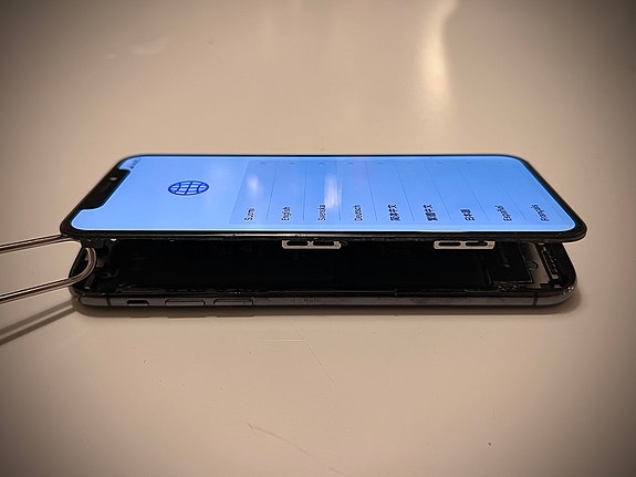 iPhone X osina