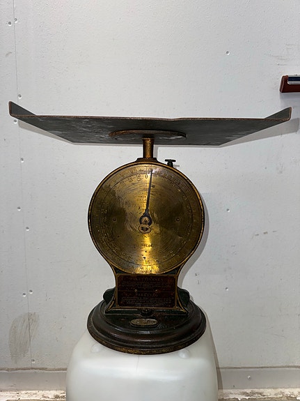 Vaaka