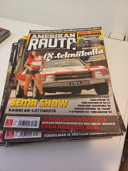 Amerikan rauta 2015