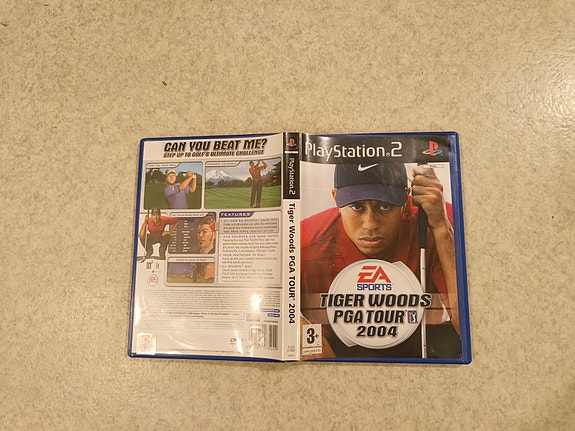 Tiger Woods PGA Tour 2004