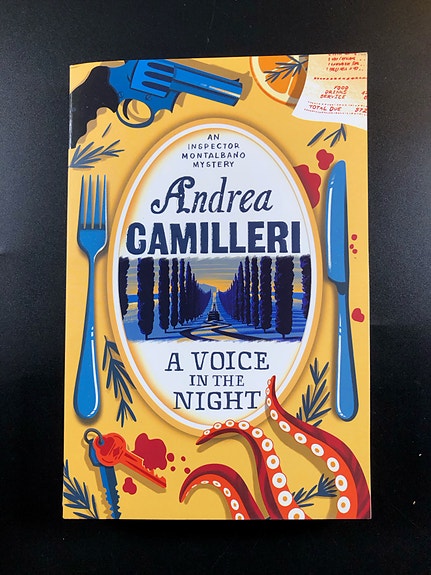 A Voice in the Night by Andrea Camilleri (Book in English)