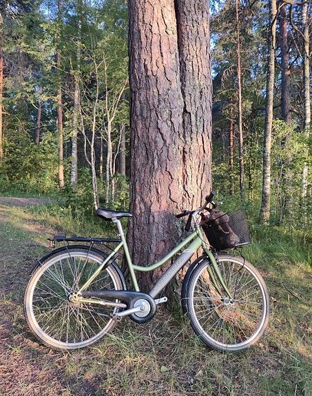 Vihreä 7-vaihteinen Tunturi + kori