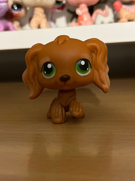 Lps cockerspaniel