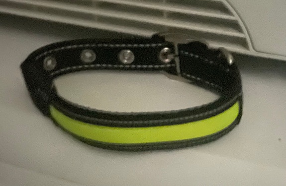 Led-panta koiralle (Real Dog C306) + flexi-talutin