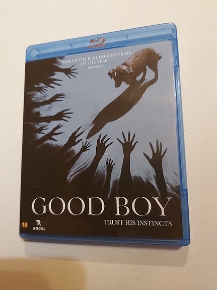 Good Boy