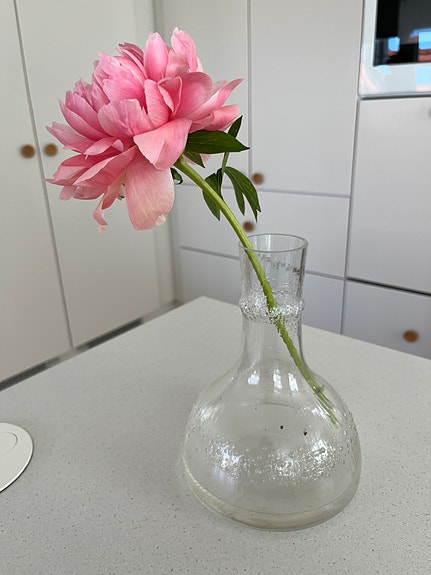 Iittala karahvi lasipullo maljakko