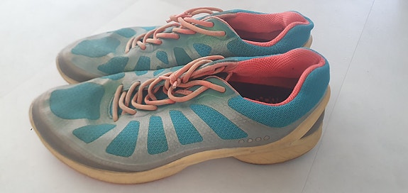 Ecco biom 38