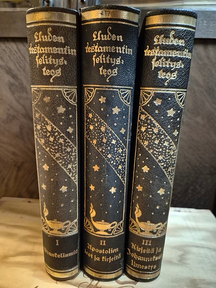 Uuden testamentin selitysteos kirjasarja (v. 1919)