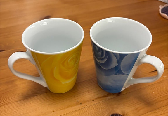 Muki keltainen ja sininen ruusu