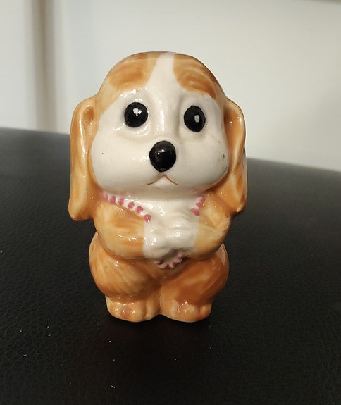 Söpö koira