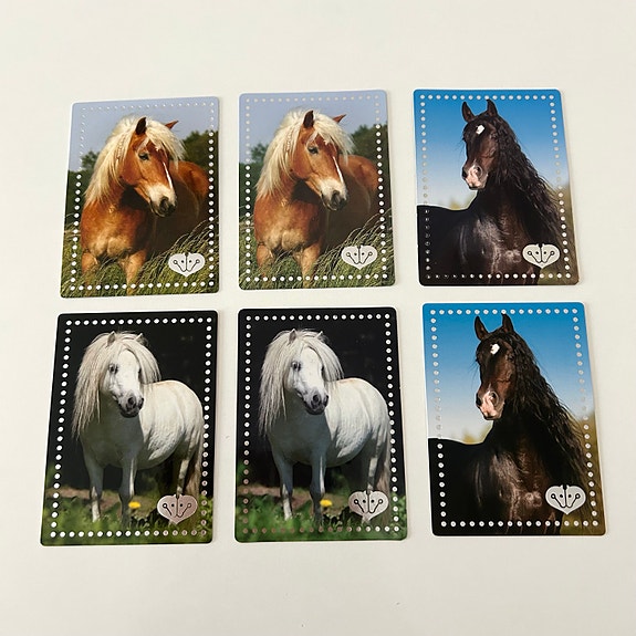 Penny Girl hevoset keräilykortit 6 kpl
