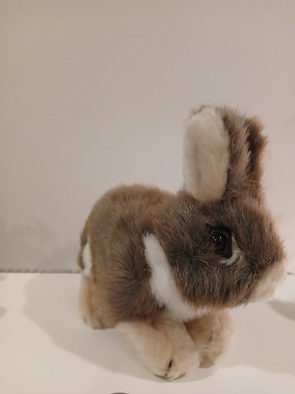 Pikku pupu