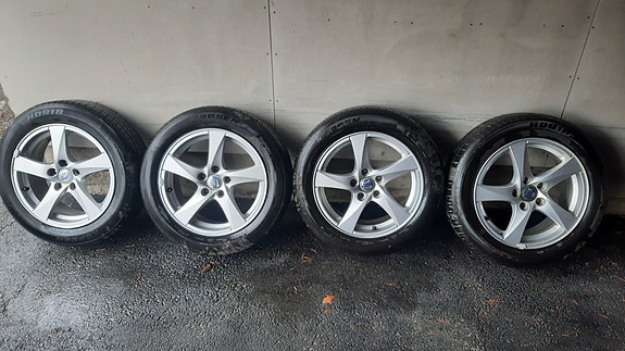 Volvo v50 vanteet kesärenkailla.