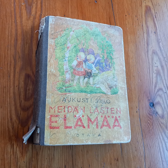 Meidän lasten elämää / Aukusti Salo – kuvitus Rudolf Koivu