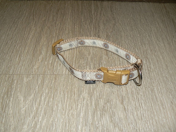 Koiran panta