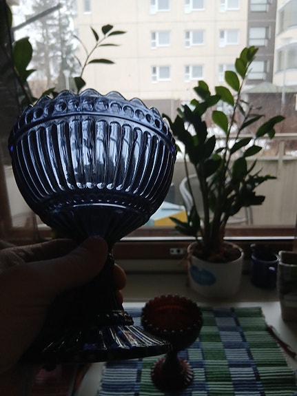 mariskooli mustikansininen