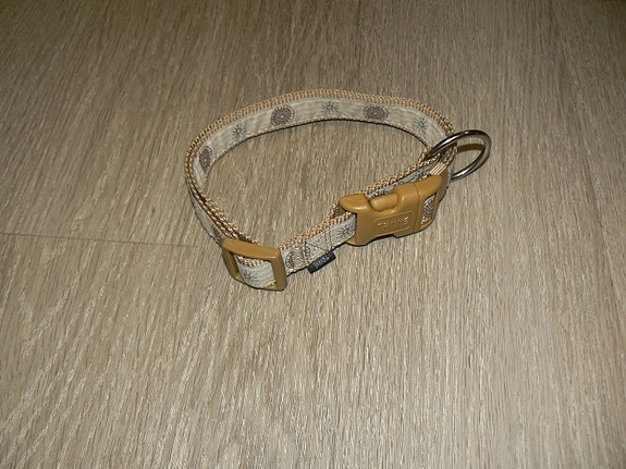 Koiran panta